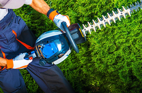 Why You Should Hire a Landscaping Company