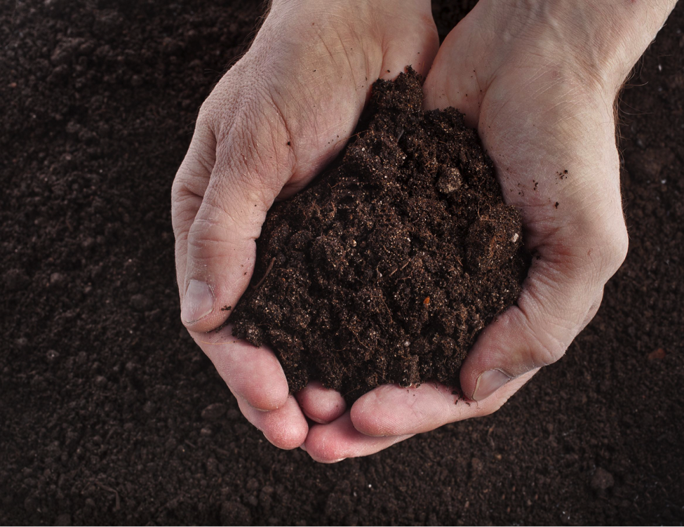 Hands Holding Top Soil